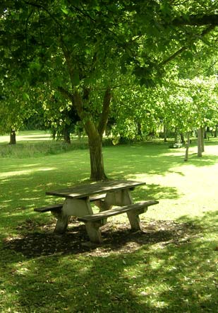 Cutteslowe Park