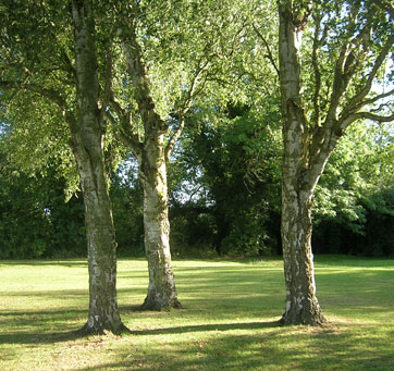 Cutteslowe Park