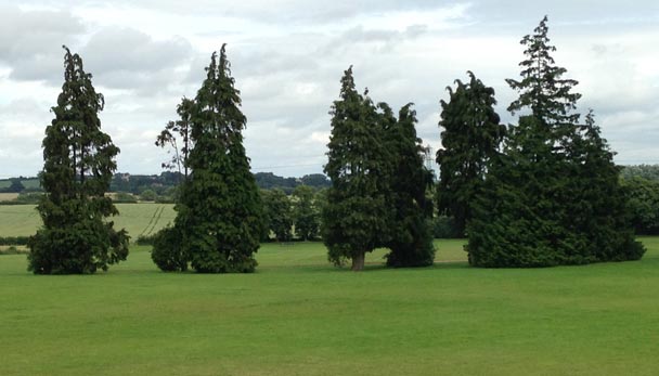 Cutteslowe Park